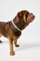 The Beaded Collar - Rainbow