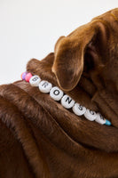 The Beaded Collar - Rainbow