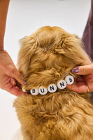 The Custom Beaded Collar