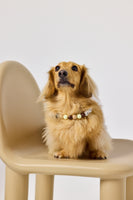 The Custom Beaded Collar