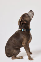 The Custom Beaded Collar