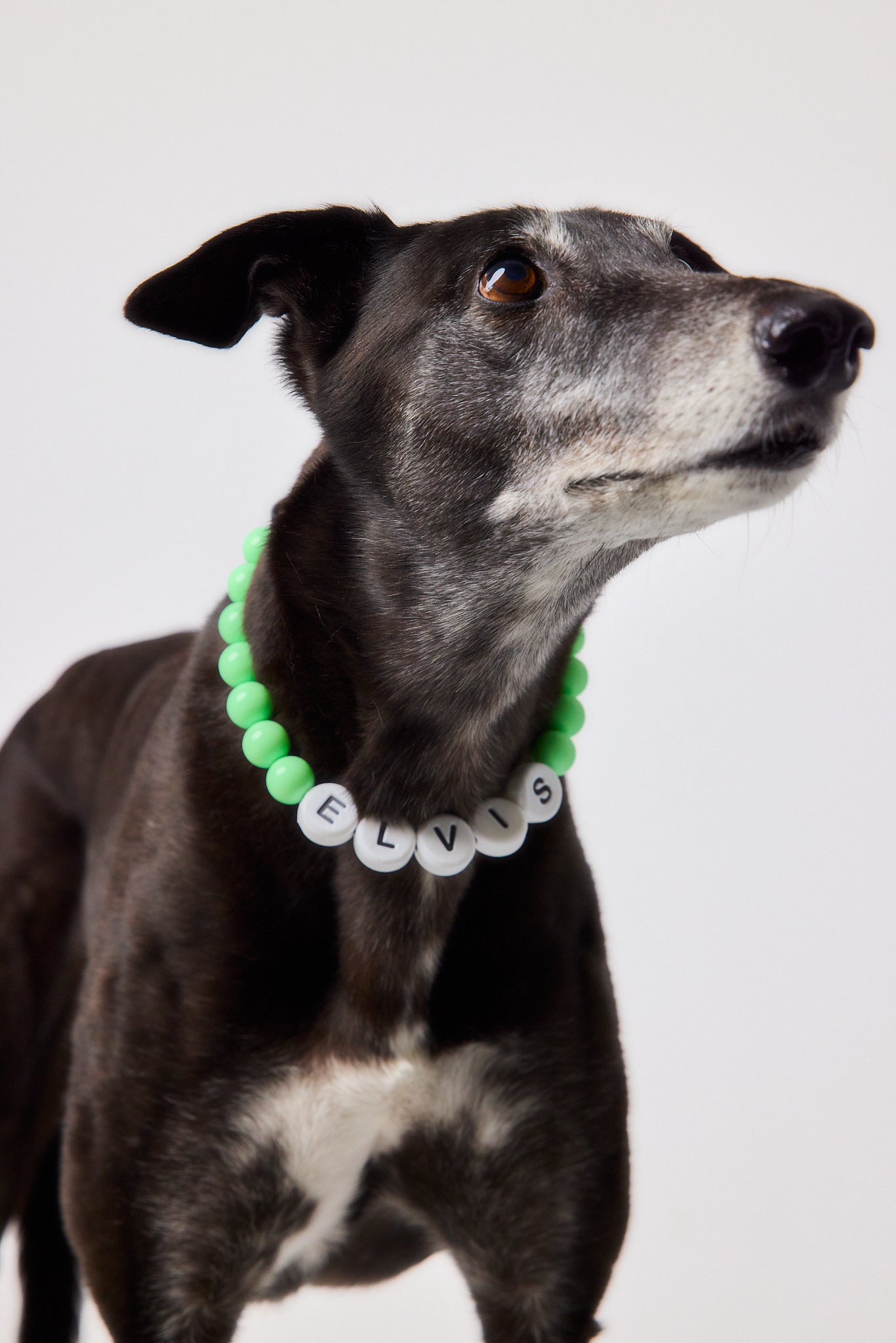 The Beaded Collar - Block