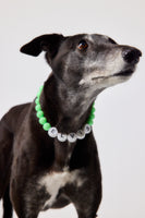 The Custom Beaded Collar