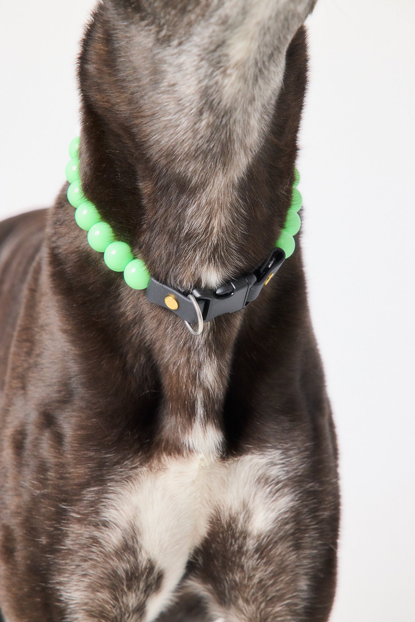 The Beaded Collar - Block