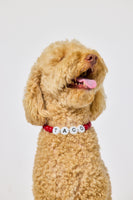The Beaded Collar - Block