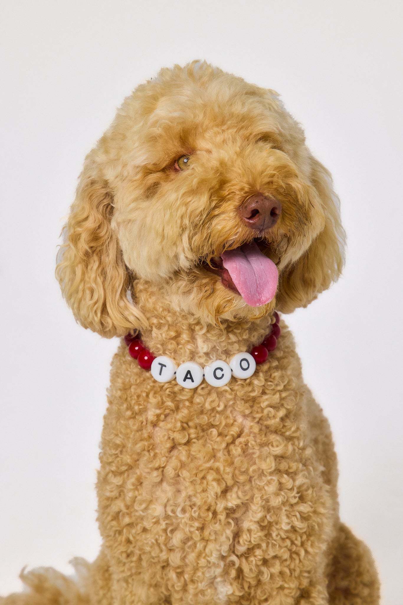 The Custom Beaded Collar