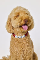 The Custom Beaded Collar