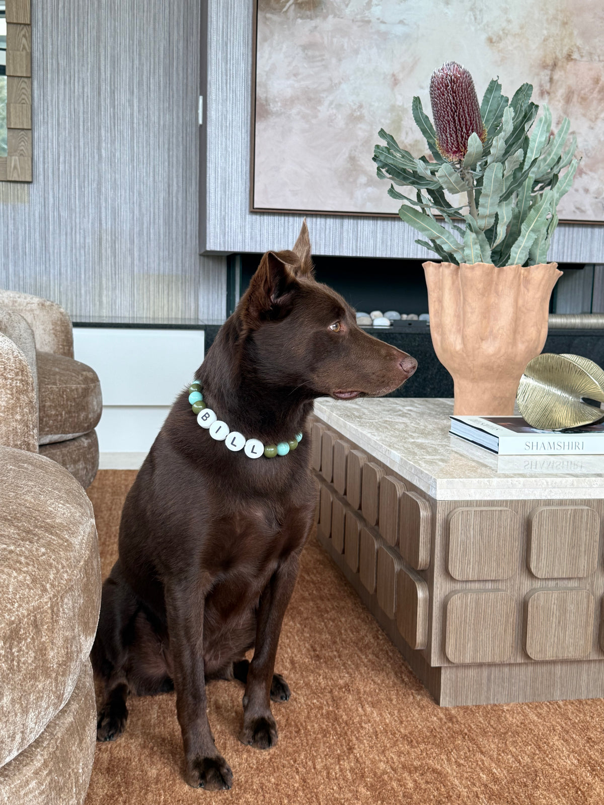 Kelpie