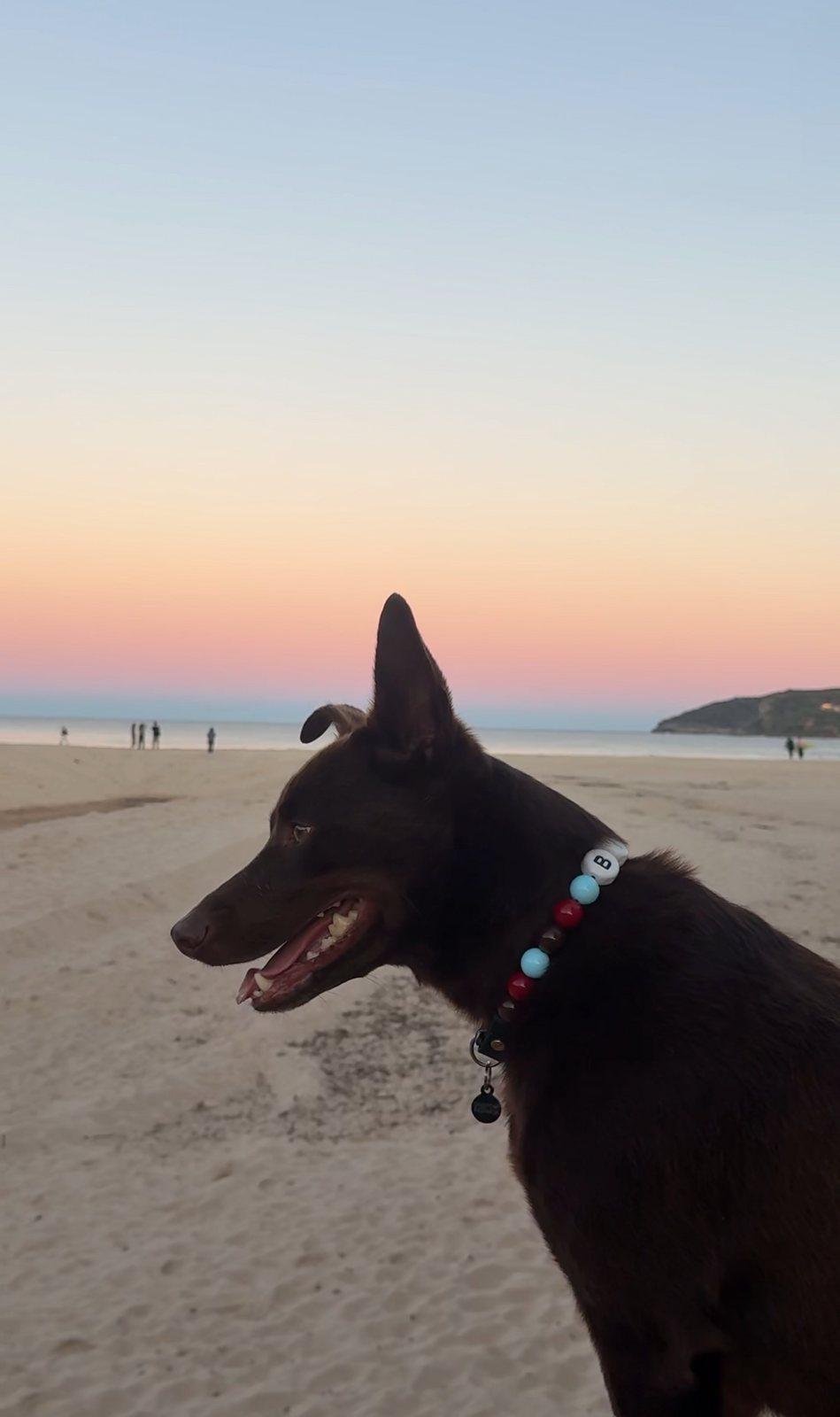 Kelpie